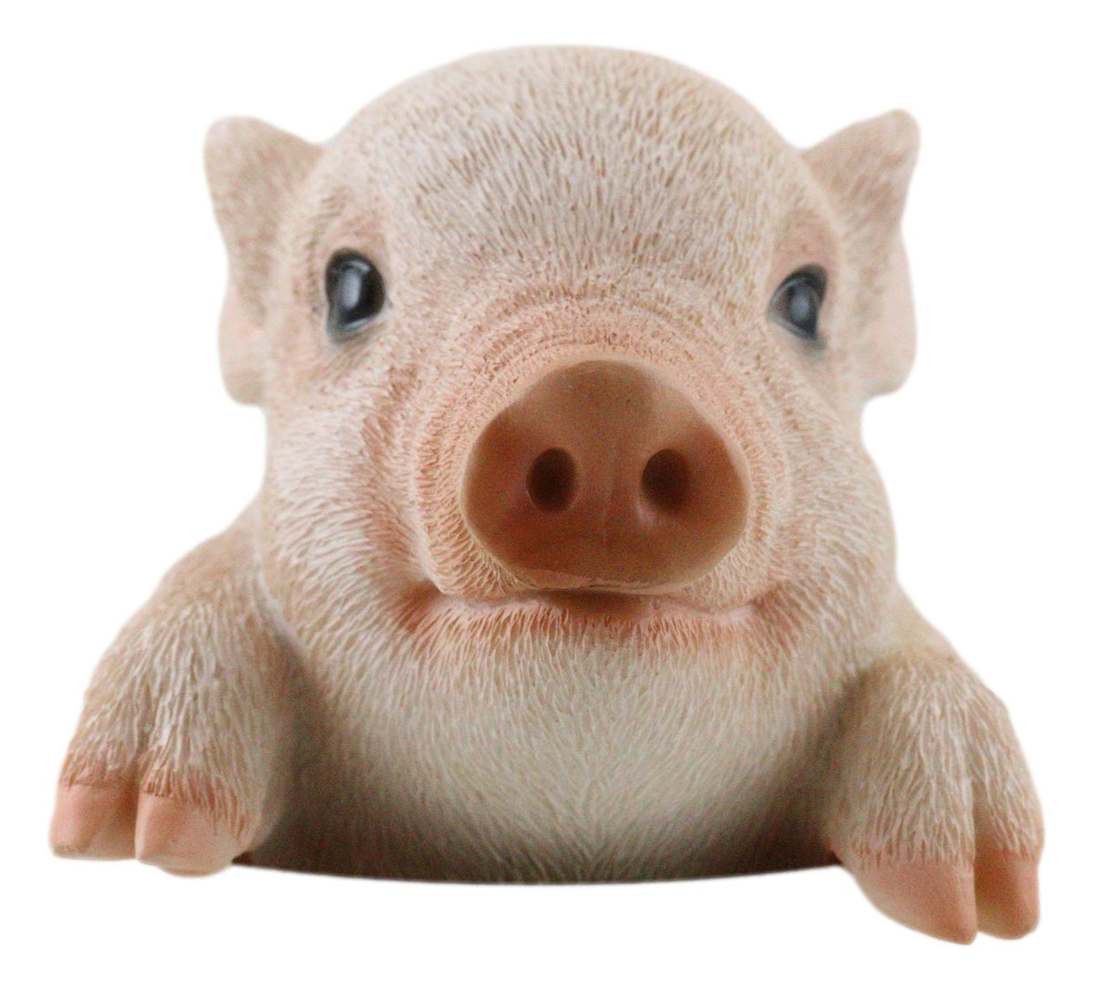 Ebros Adorable Teacup Pig 5.25"H Realistic Animal Collectible Statue with Glass Eyes - Ebros Gift