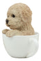 Ebros Realistic Brown Poodle Puppy Teacup Statue Pet Pal Dog Figurine With Glass Eyes