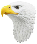 Large 16"H Majestic Bald Eagle Wall Decor Patriotic American Eagle Wall Plaque