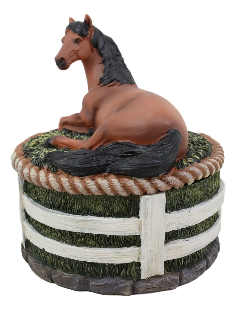 Ebros Brown Stallion Horse At Rest Round Jewelry Trinket Decorative Box 5.25"H