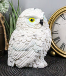 Arctic Tundra White Snow Owl Chick Cute Figurine 6"H Collectible Sculpture