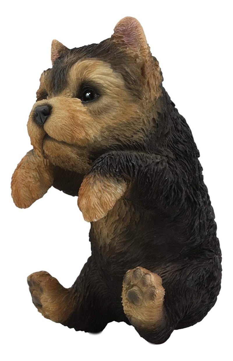 Ebros Garden Pot Hanging Yorkshire Terrier Statue 8" Tall with Glass Eyes Yorkie