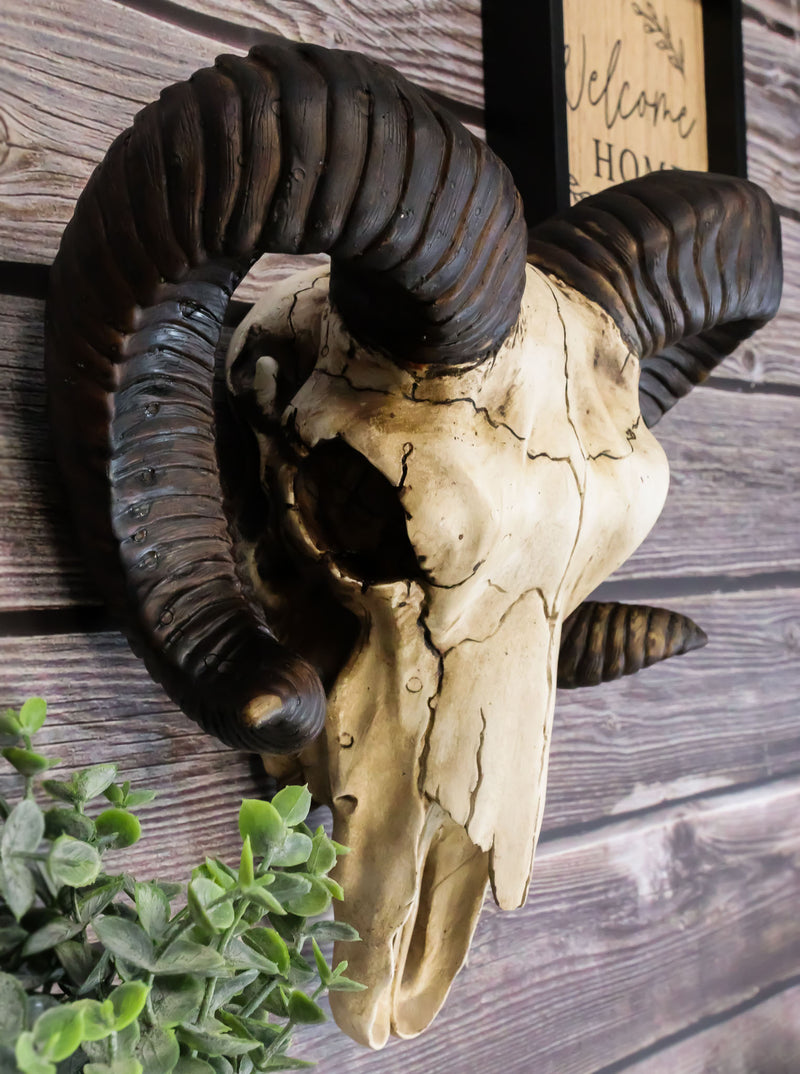 Large Bighorn Ram Skull Wall Decor 11" Wide Taxidermy Hanging Sculpture Plaque