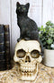 Witching Hour Black Feline Mystical Cat Sitting On Skull Wicca Macabre Figurine