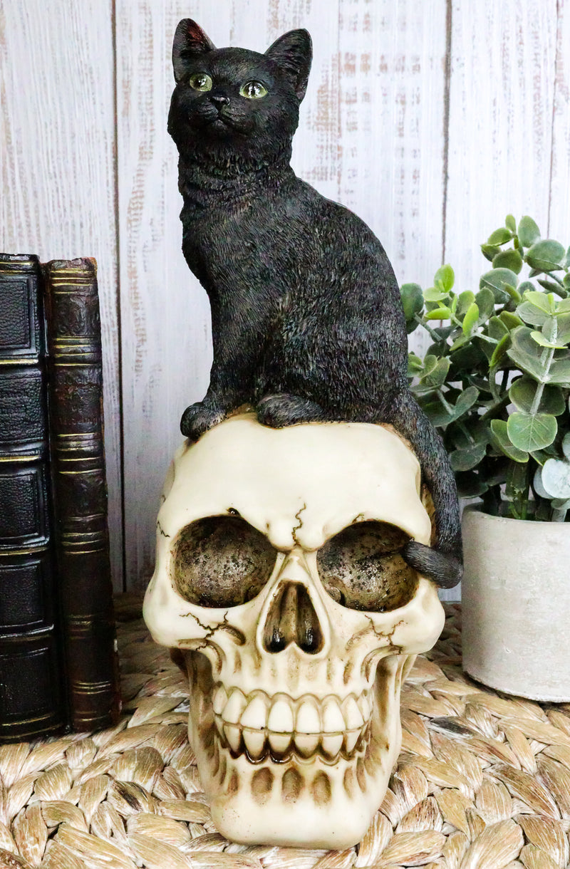 Witching Hour Black Feline Mystical Cat Sitting On Skull Wicca Macabre Figurine