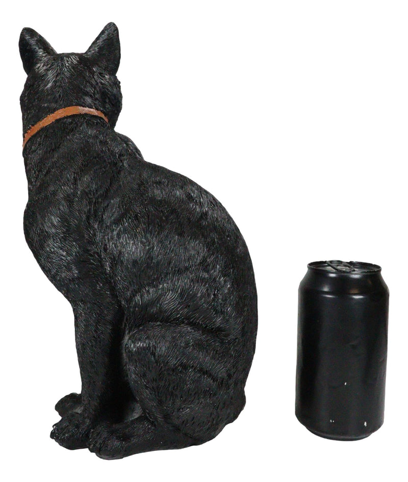 Wicca Witchcraft Green Eyed Moon Black Cat With Pentagram Necklace Figurine