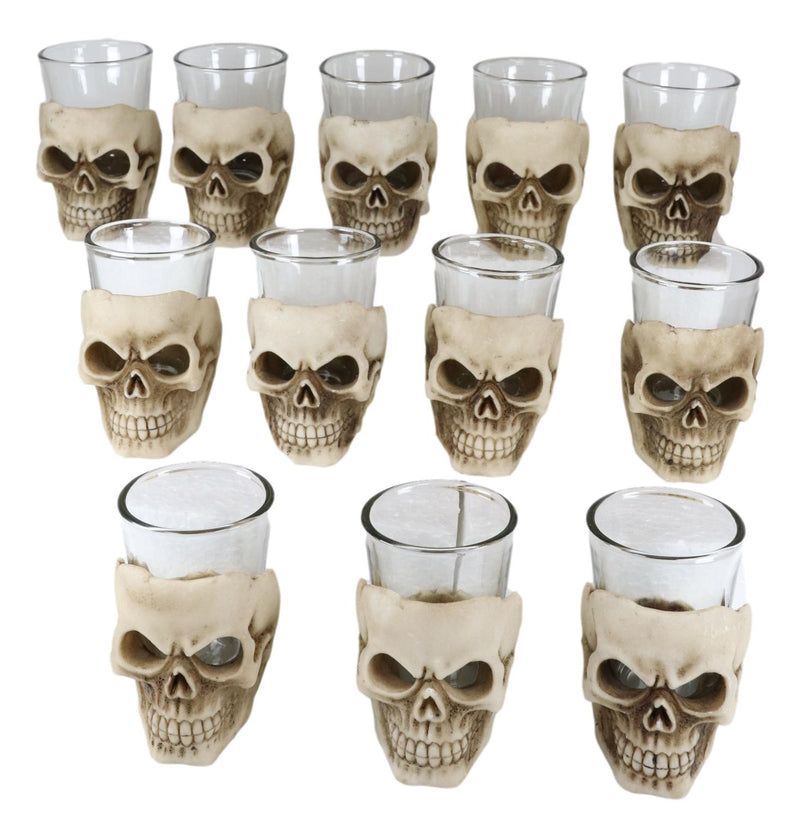 Ebros Grinning Skull Shot Glass Set of 12 Altar of Skulls Skeleton Ossuary Skull