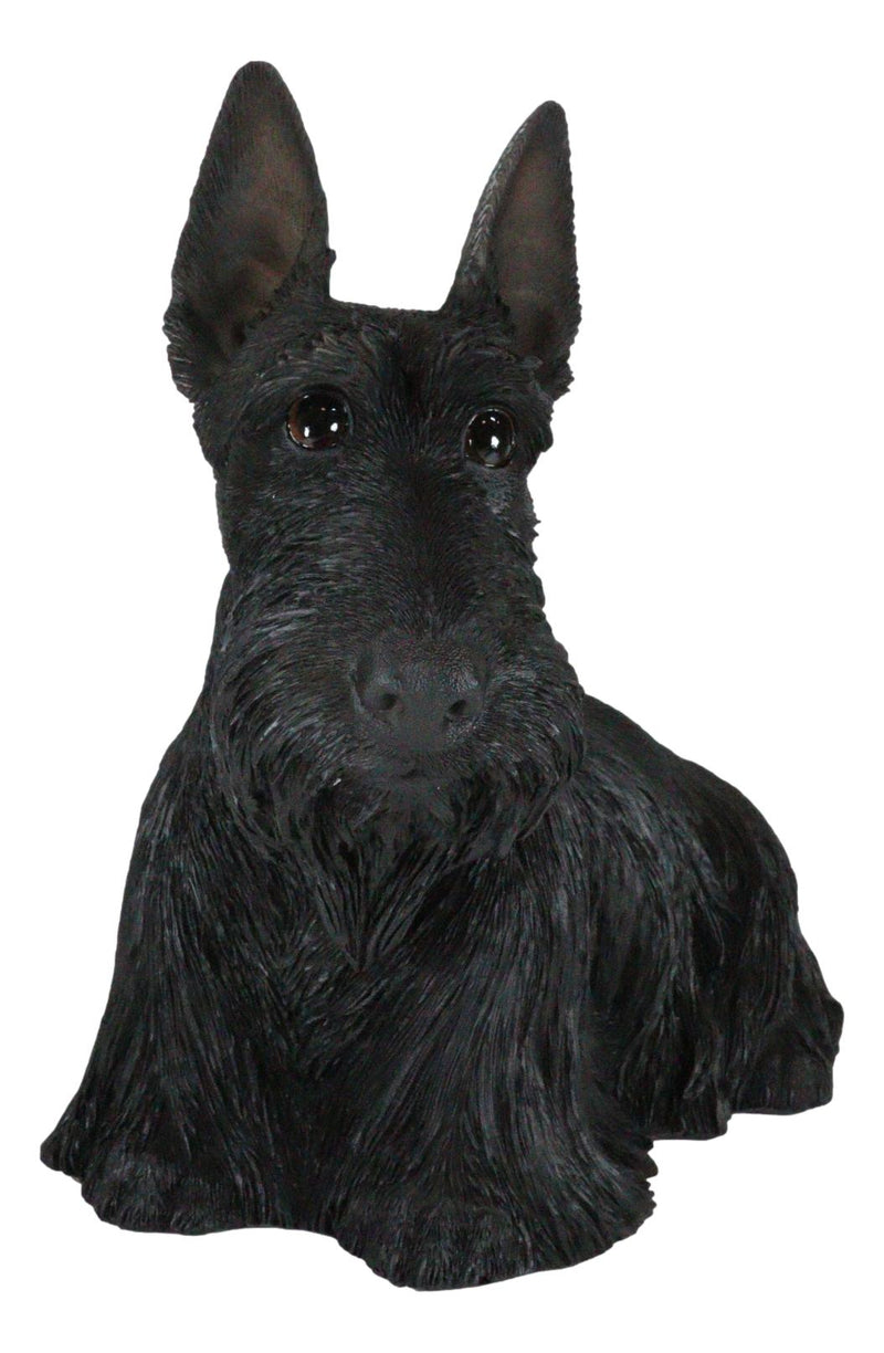 Large Lifelike Black Longhaired Scottish Highlands Terrier Statue Scottie Decor