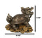 Feng Shui Celestial Black Dragon Turtle Statue Charm For Protection and Wealth