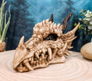 Ebros Jurassic Beowulf Elder Dragon Head Skull Realistic Fossil Statue 7.75" L