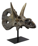Ebros Prehistoric '3 Horns' Triceratops Dinosaur Fossil Skeleton Statue 22" Tall