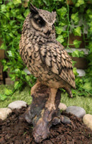 Realistic Nature Wildlife Eurasian Eagle Owl Perching On Tree Statue 14.25"Tall