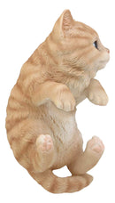 Ebros Lifelike Pot Pal Hanging Orange Tabby Cat Statue 8"Tall With Glass Eyes Decor