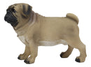 Ebros Realistic Lifelike Adorable Fawn Pug Dog Statue 7.75" L Figurine with Glass Eyes
