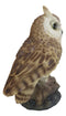 Eagle Owl Owlet Baby On Tree Stump With Motion Sensor Live Hooting Sound Statue
