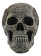 Mesoamerican Maya Aztec Skull Statue 5"Tall Tribal Tattoo Mexica Pantheon Gods