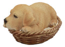 Ebros Lifelike Adorable Labrador Retriever Dog Sleeping in Wicker Basket Statue 6.25" Long Realistic Pet Pal Dog Breed Collectible Resin Decor Figurine