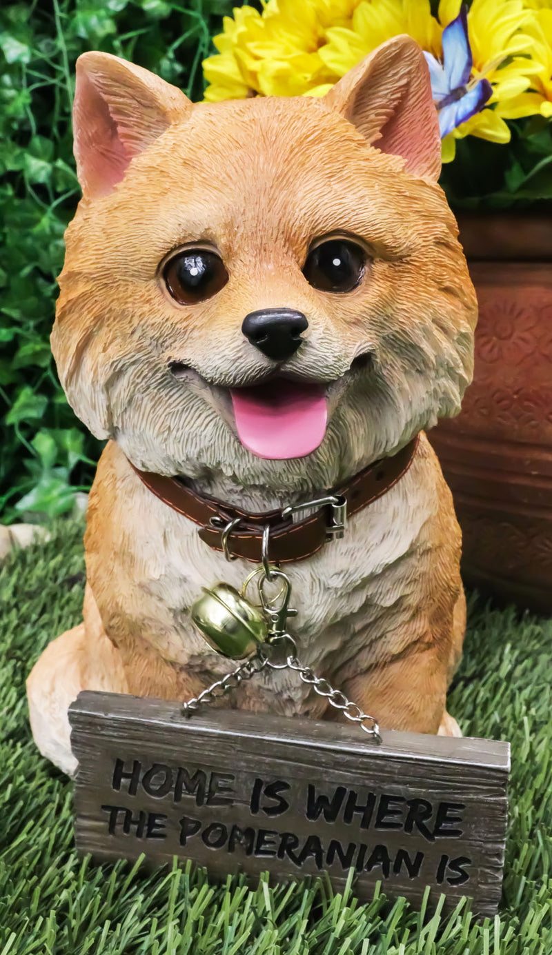 Adorable Pet Pal Pomeranian Puppy Dog With Jingle Collar And Plank Sign Statue