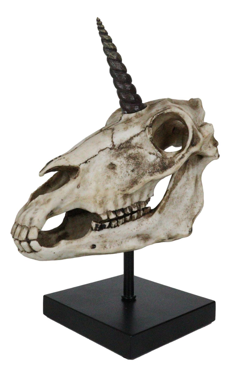 Rare Fossil Unicorn Skull With Sacred Horn Skull Figurine On Museum Pole Mount