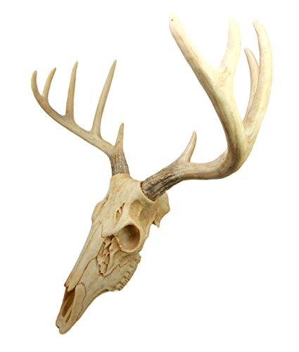 Ebros Rustic Hunter Rack Deer Skull Antler Wall Plaque Decor 10 Point Buck Figurine - Ebros Gift