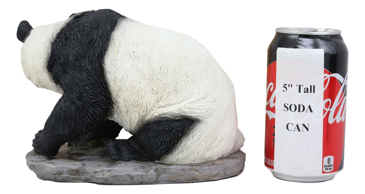 Ebros Lifelike Adorable China Asian Giant Panda Bear Statue 8"L With Glass Eyes Decor