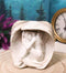 Gothic Angel Of Hades Ram Horned Skull With Nude Winged Redemption Figurine