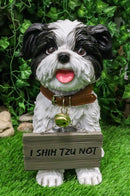 Ebros- Small But Sassy - Adorable Black & White Shih Tzu Puppy Dog Sitting Figure with Reversible Welcome Sign Home Accent Patio Sculpture Garden Décor, 11-inch