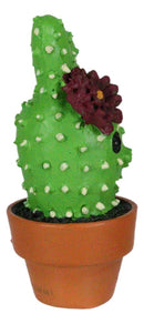 Prickles Whimsical Rabbit That Transform Into Cactus Plant In Pot Figurine Small