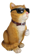 No Pussies Here! Tabby Cat With Shades Flipping The Bird Middle Finger Figurine