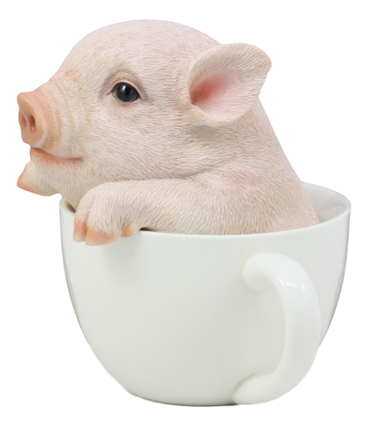 Ebros Adorable Teacup Pig 5.25"H Realistic Animal Collectible Statue with Glass Eyes - Ebros Gift