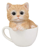 Ebros Lifelike Orange Tabby Cat Teacup Pet Pal Statue 5.75" Tall