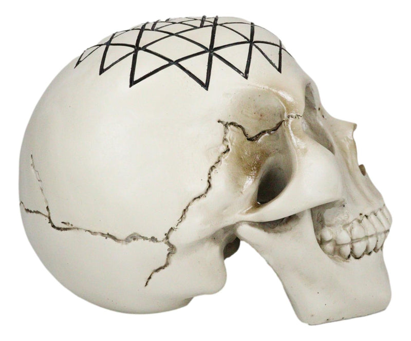 Spiritual Sacred Geometry Sri Yantra Shri Chakra Vastu Symbol Skull Figurine