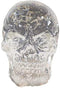 Ebros Dozen Mini Translucent Clear Skull Gothic Halloween Decor 12pc 1 inch Tall