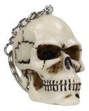 Pack of 12 Novelty Bone Colored Jointed Homosapien Cranium Skulls Keychains