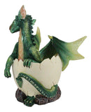Whimsical Smiling Green Hatchling Baby Dragon Hatchling In Egg Shell Figurine