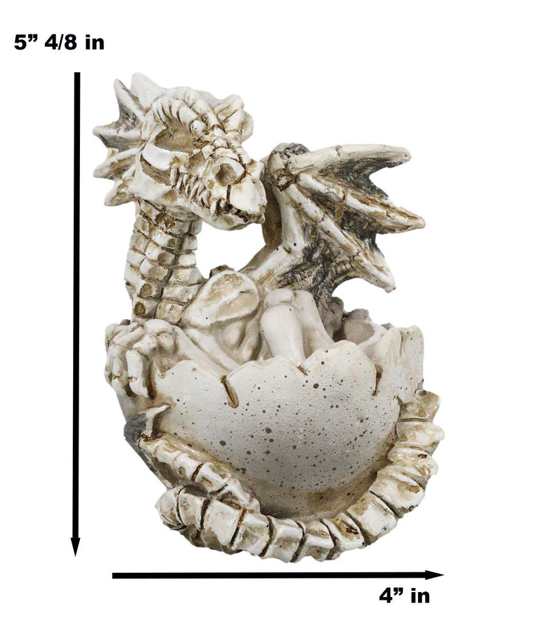 Ebros 4.5" Long Skeleton Bone Wyrmling Dragon Hatchling From Egg Statue Figurine - Ebros Gift