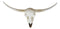 Rustic Western Texas White Longhorn Steer Cattle Cow Skull Wall Decor Plaque 20"