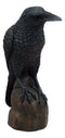 Ebros Gothic Raven Statue Crow Scavenger Bird Perching On Rock Figurine 6"H