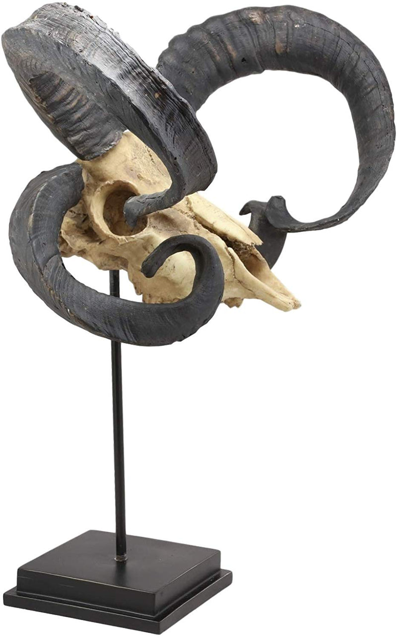 Large Alien Mutated Quad Horns Ram Skull Sculpture On Museum Base Stand 17.25"H