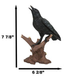 Ebros Crowing Raven Perched On Tree Branch 8.25" Tall Scavenger Bird Figurine