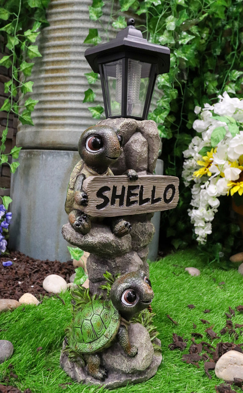 Ebros Rock Climbing Baby Tortoise Turtles With Greeting Sign & Solar LED Light Statue