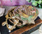 Ebros Beautiful Ocean Siren Mermaid With Starfish Oyster Shell Shaped Jewelry Box Figurine Mini Storage Decor Sculpture