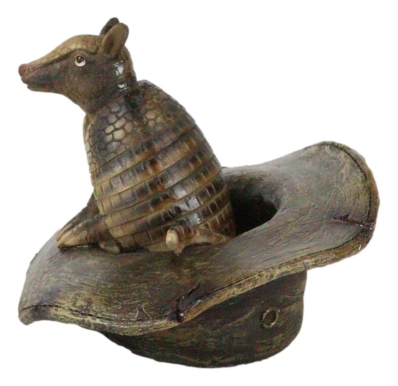 Western Rustic Texas Wild Armadillo Sitting in Cowboy Hat Decorative Figurine
