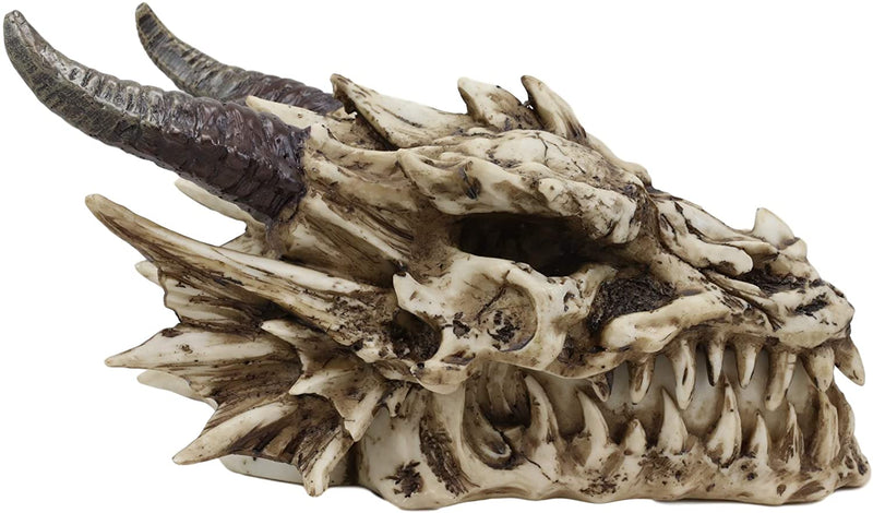 Ebros 9" L Grinning Fossil Bone Skeleton Dragon Skull 'Stryker' Decorative Box