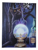 Wicca Witches Apprentice Black Cat By Gazing Ball Wood Framed Canvas Wall Decor