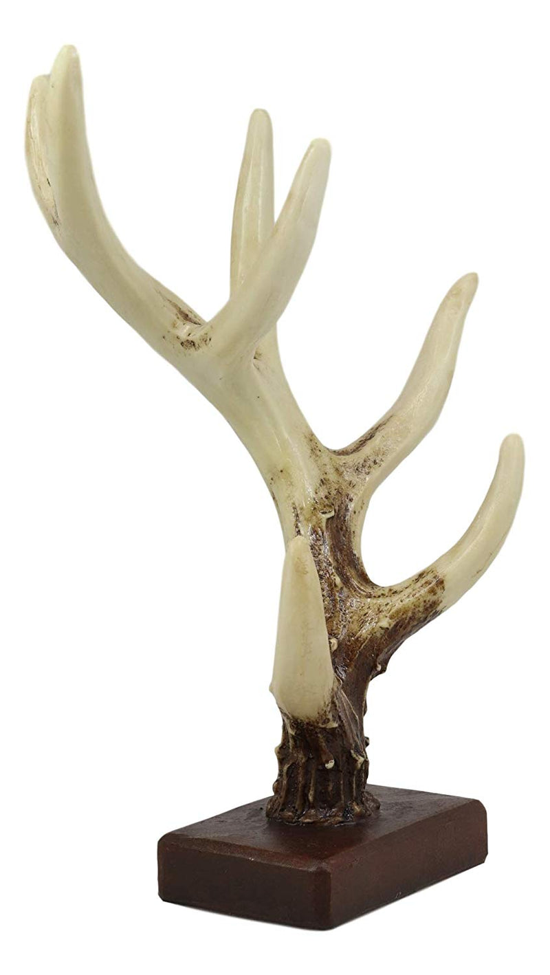 Ebros Rustic Buck Deer Antler Jewelry Accessories Holder Hook Stand 10.25"H