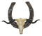 21" L Rustic Western Longhorn Bull Cow Skull With Giant Horseshoe Wall Decor