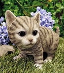 Lifelike Crouching Grey Striped Tabby Cat Statue 8.25"Long Realistic Glass Eyes