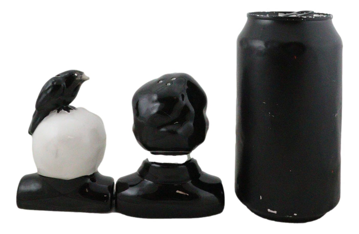 Ceramic Edgar Allen Poe And Nevermore Raven On Skull Salt And Pepper Shakers Set - Ebros Gift