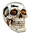 Ebros Gift Chrome Plated Golden Silver Treasure Skull Figurine 6.25"L